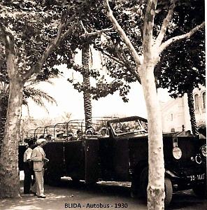 BLIDA - AUTOBUS - 1930